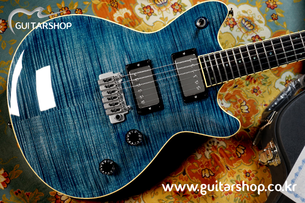 [Sold Out] T's Arc-STD24/VS100N GUITAR (Arctic Blue) Stainless Fret 기타샵 특주모델